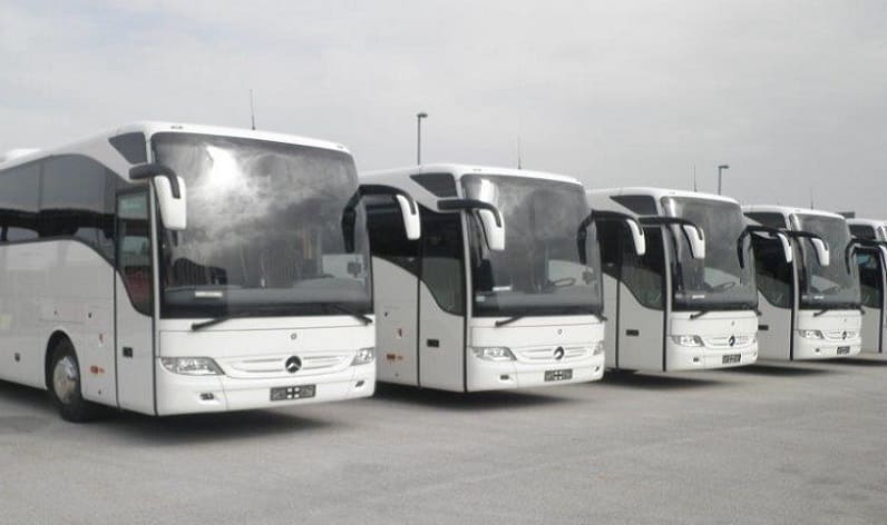 Malta region: Bus company in Siġġiewi in Siġġiewi and Malta