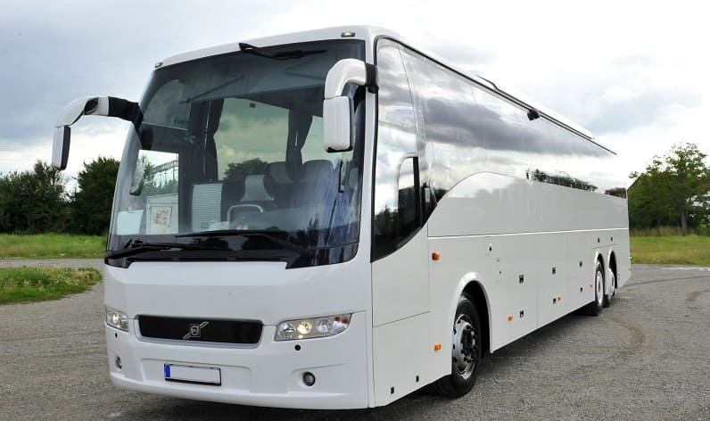 Malta region: Buses agency in Valletta in Valletta and Malta