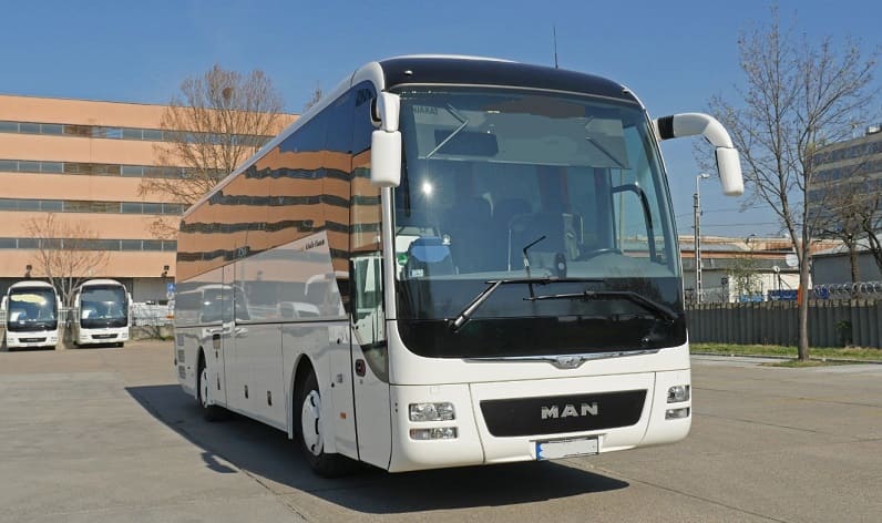 Malta region: Buses operator in Birżebbuġa in Birżebbuġa and Malta