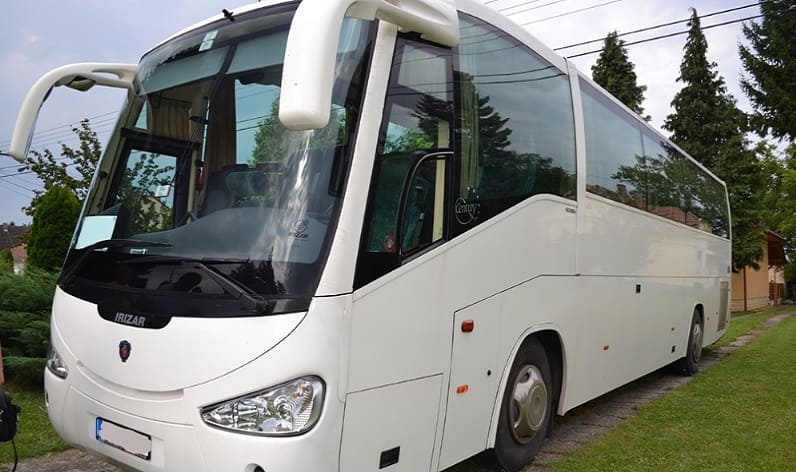 Sicily: Buses rental in Caltanissetta in Caltanissetta and Italy